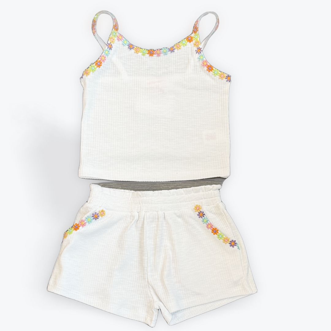 Rainbow Daisy Set