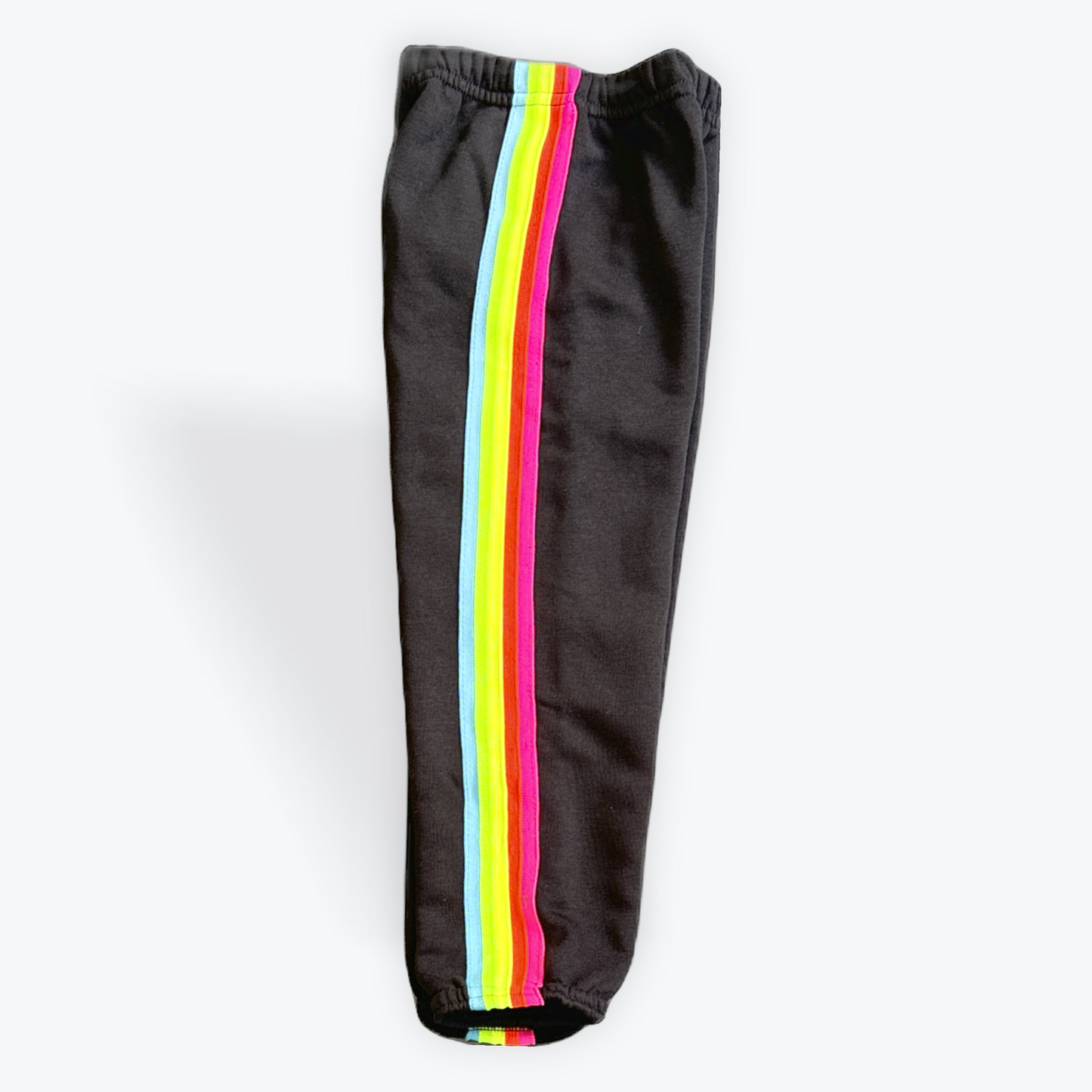 Dori Neon Stripe Sweatpants