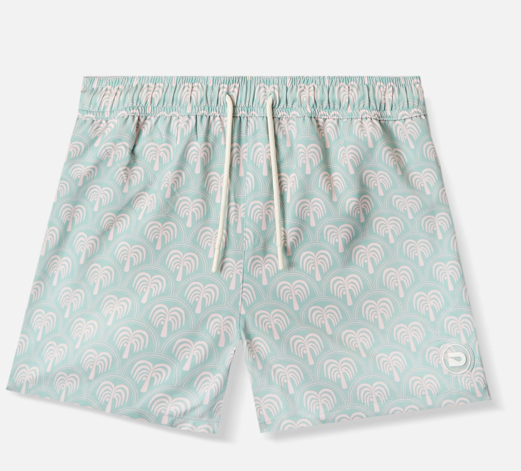 Drip Shop Manhattan Beach Swim Shorts