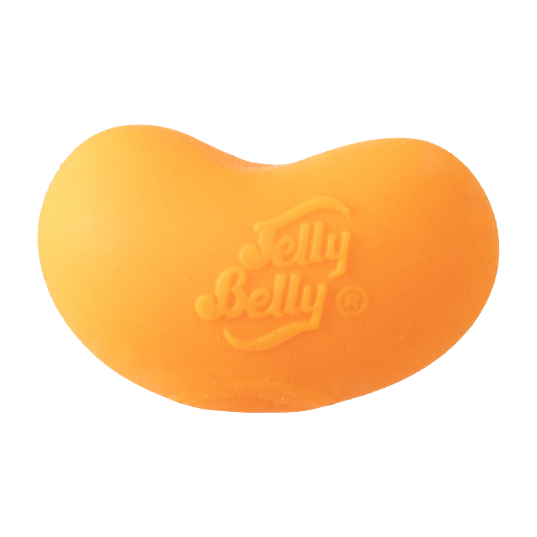 Jelly Belly Scented Squishy Toy